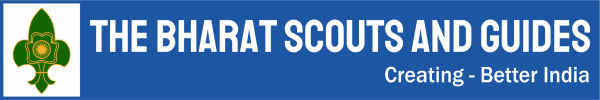 bsg_logo